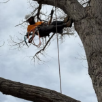 What is Rigging? – May 12