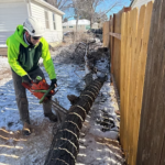 Bucking – dec 10