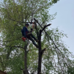 Friction in rigging – May 15