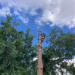 Drop Zones – Nov 29
